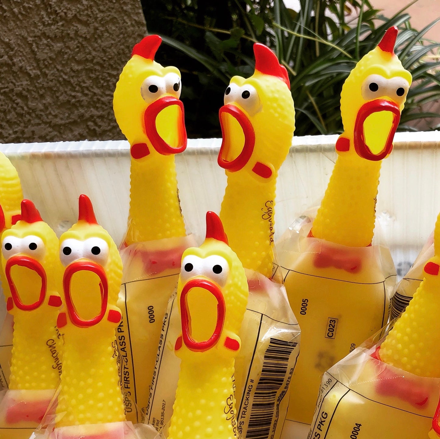 Flock a Friend: Send Half a Dozen (6) Rubber Chickens